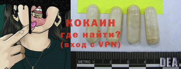 тгк Лагань