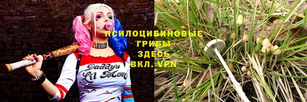 тгк Алзамай