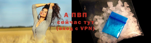 ешки Ладушкин