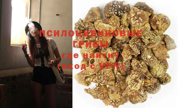 тгк Алзамай