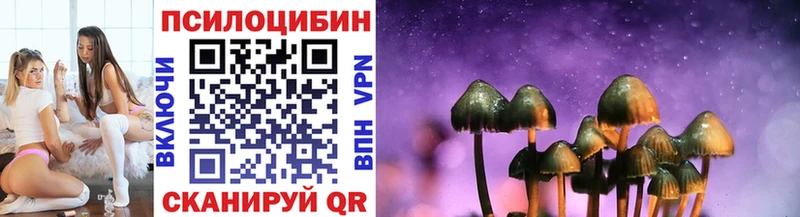 omg ссылки Обоянь Галлюциногенные грибы Psilocybe